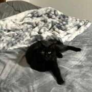 ヒメ日記 2026/03/30 19:46 投稿 かえで 横浜ひよこ倶楽部