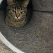 ヒメ日記 2026/04/06 16:16 投稿 かえで 横浜ひよこ倶楽部