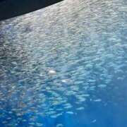 ヒメ日記 2026/03/22 15:09 投稿 いろは 名古屋回春性感マッサージ倶楽部