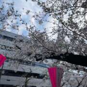 ヒメ日記 2026/03/30 14:37 投稿 かなこ パンスト熟女はいやらしい