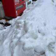 ヒメ日記 2026/02/03 14:05 投稿 穴子（あなこ） 熟女の風俗最終章 大宮店