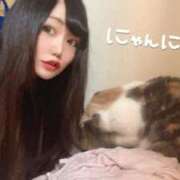 ヒメ日記 2026/03/29 15:50 投稿 ゆりか IRIS(岐阜)