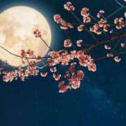 ヒメ日記 2026/04/02 16:44 投稿 なつき 即アポ奥さん～浜松店～