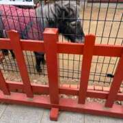 ヒメ日記 2026/01/30 09:57 投稿 琴音みやび プレジデントハウス