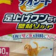 ヒメ日記 2026/02/13 18:37 投稿 琴音みやび プレジデントハウス