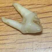 ヒメ日記 2026/02/22 12:10 投稿 琴音みやび プレジデントハウス