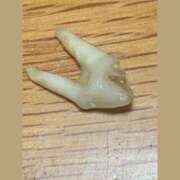 琴音みやび おやすみ プレジデントハウス