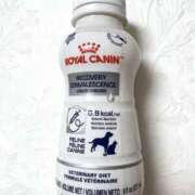 琴音みやび 明後日ね プレジデントハウス