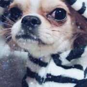 ヒメ日記 2026/03/04 19:12 投稿 琴音みやび プレジデントハウス