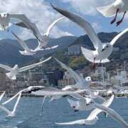 ヒメ日記 2026/03/29 10:28 投稿 琴音みやび プレジデントハウス