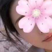 ヒメ日記 2026/04/04 11:25 投稿 琴音みやび プレジデントハウス