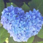 ヒメ日記 2026/07/26 22:05 投稿 香華美-かがみ- 人妻倶楽部 花椿大崎店