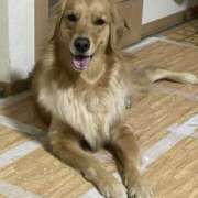 ヒメ日記 2026/03/16 10:15 投稿 こはく 海物語