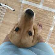 ヒメ日記 2026/04/23 00:57 投稿 こはく 海物語