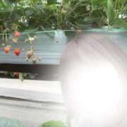 ヒメ日記 2026/02/05 12:37 投稿 にな 群馬伊勢崎ちゃんこ