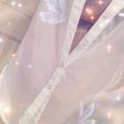 ヒメ日記 2026/02/20 12:54 投稿 涼☆唯一無二の存在感 ジャックと豆の木