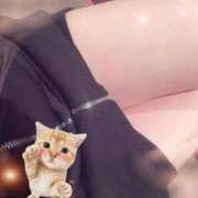 ヒメ日記 2026/03/14 14:01 投稿 涼☆唯一無二の存在感 ジャックと豆の木