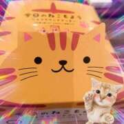 ヒメ日記 2026/04/14 20:15 投稿 涼☆唯一無二の存在感 ジャックと豆の木