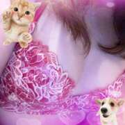 ヒメ日記 2026/04/27 20:03 投稿 涼☆唯一無二の存在感 ジャックと豆の木