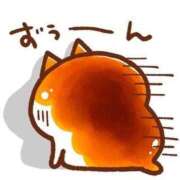 ヒメ日記 2026/05/04 23:26 投稿 涼☆唯一無二の存在感 ジャックと豆の木