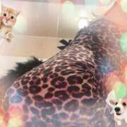ヒメ日記 2026/05/26 22:12 投稿 涼☆唯一無二の存在感 ジャックと豆の木