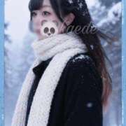 ヒメ日記 2026/01/26 20:23 投稿 かえで なでし娘