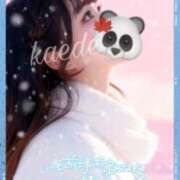 ヒメ日記 2026/02/12 11:01 投稿 かえで なでし娘