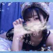 ヒメ日記 2026/02/13 12:49 投稿 かえで なでし娘