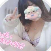 ヒメ日記 2026/02/14 11:30 投稿 かえで なでし娘