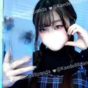 ヒメ日記 2026/03/28 11:45 投稿 かえで なでし娘