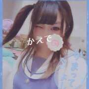 ヒメ日記 2026/03/31 20:31 投稿 かえで なでし娘