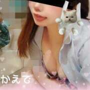 かえで 🐼🍁【準備】ほんじつ11じより〜! なでし娘