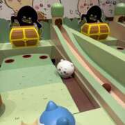 ヒメ日記 2026/02/12 19:16 投稿 みこ CUTE