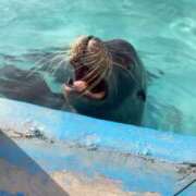 ヒメ日記 2026/04/02 19:01 投稿 みこ CUTE