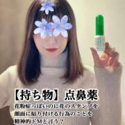 ヒメ日記 2026/02/28 08:01 投稿 更紗みな 華椿