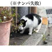 ヒメ日記 2026/03/07 10:16 投稿 更紗みな 華椿