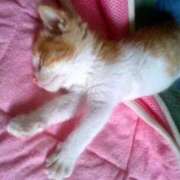 ヒメ日記 2026/02/22 15:09 投稿 さつき 人妻・若妻デリヘル レディプレイス