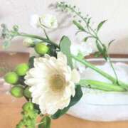 二条いぶき ごめんなさい! 熟女パラダイス池袋店(カサブランカグループ)