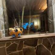 ヒメ日記 2026/03/31 05:15 投稿 優ゆう〜喝采が聞こえる〜 GOOD-グッド-