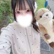 ヒメ日記 2026/05/04 13:25 投稿 にこり すぐ舐めたくて学園立川校〜舐めたくてグループ〜