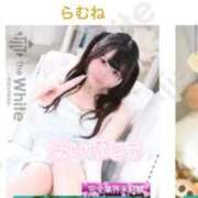 らむね わーい！🩵🩵 The White