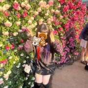 ヒメ日記 2026/05/31 20:15 投稿 りりん ぷるるん小町日本橋店