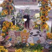 ヒメ日記 2026/09/24 16:56 投稿 りりん ぷるるん小町日本橋店
