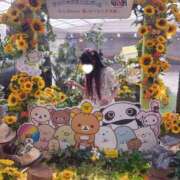 ヒメ日記 2026/09/24 17:01 投稿 りりん ぷるるん小町日本橋店