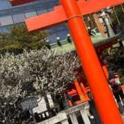 ヒメ日記 2026/02/19 15:15 投稿 いおり 吉原ファーストレディ