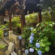 ヒメ日記 2026/06/16 12:56 投稿 いおり 吉原ファーストレディ
