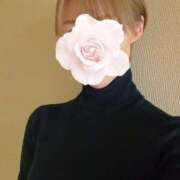 ヒメ日記 2026/02/14 16:46 投稿 内田あおい MADAM