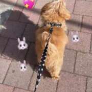 ヒメ日記 2026/02/03 15:55 投稿 葉月うらら【HG】 マネLOVE