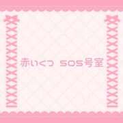 ヒメ日記 2026/03/19 00:28 投稿 なの 宮城大崎古川ちゃんこ