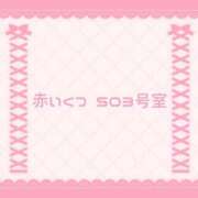 ヒメ日記 2026/04/08 13:22 投稿 なの 宮城大崎古川ちゃんこ